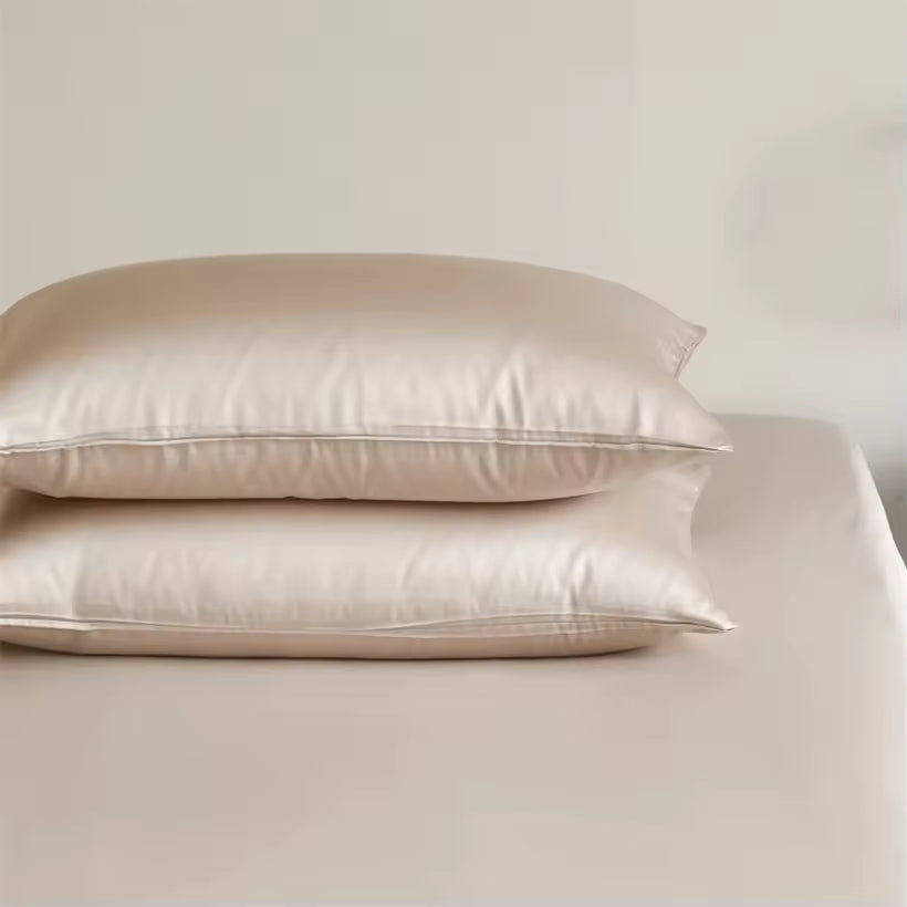 2-Piece 23 Momme Mulberry Silk Pillowcase Set – Envelope Closure (SB61)