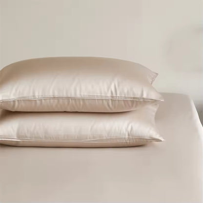 2-Piece 23 Momme Mulberry Silk Pillowcase Set – Envelope Closure (SB61)