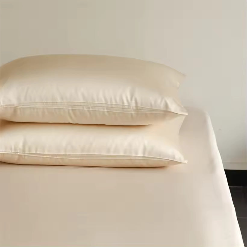 2-Piece 23 Momme Mulberry Silk Pillowcase Set – Envelope Closure (SB61)
