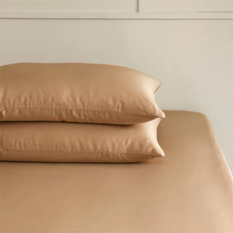 2-Piece 23 Momme Mulberry Silk Pillowcase Set – Envelope Closure (SB61)